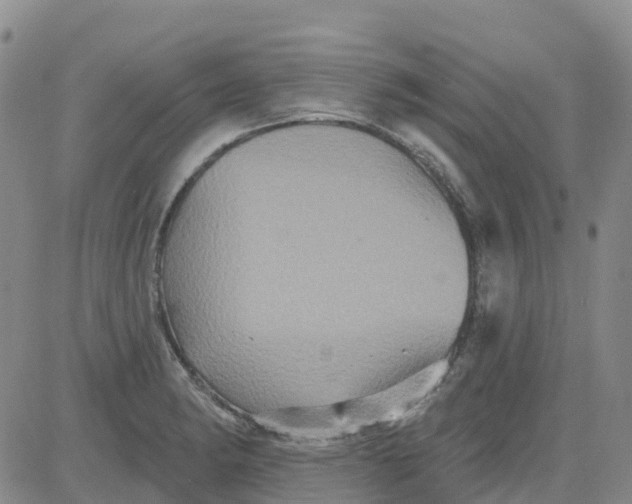 X0000084021182200703022049