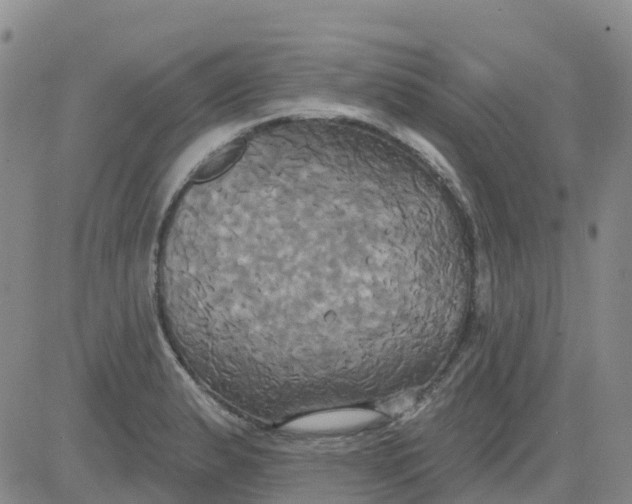 X0000084021183200703022049