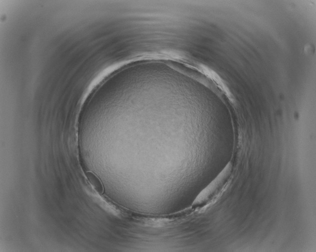 X0000084021184200703022049