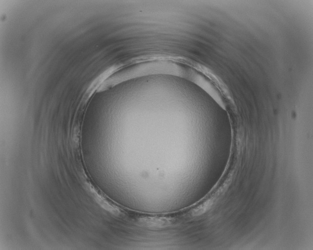 X0000084021185200703022049