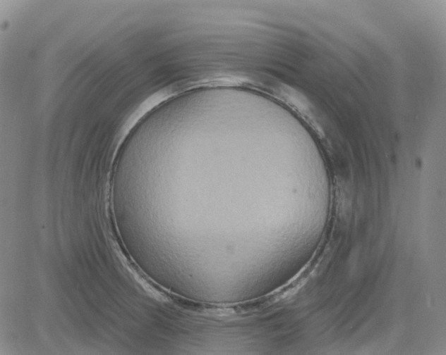 X0000084021186200703022049