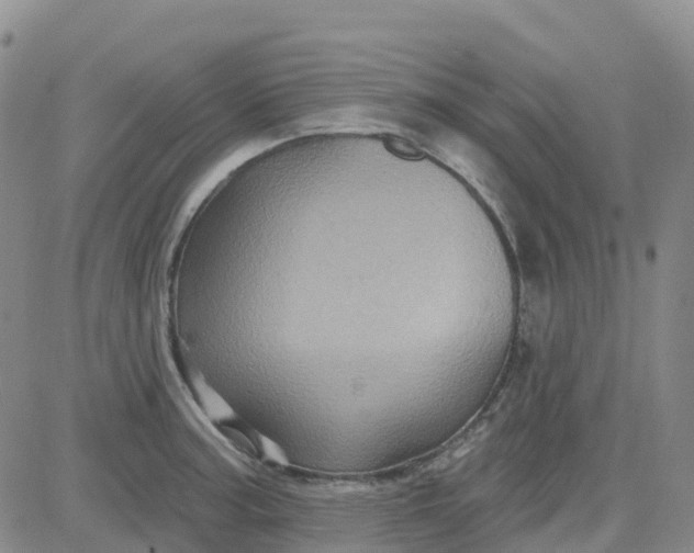 X0000084021187200703022049