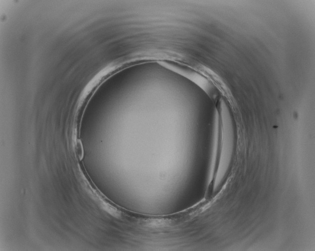 X0000084021188200703022049