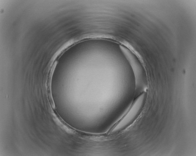 X0000084021189200703022049