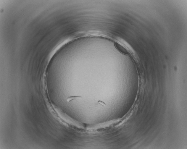 X0000084021190200703022049