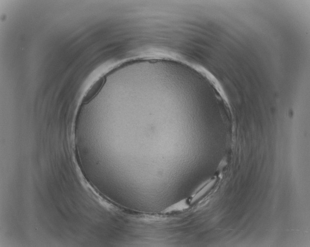 X0000084021191200703022049