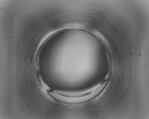 X0000084021192200703022049