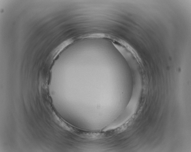 X0000084021193200703022049