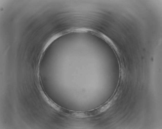 X0000084021194200703022049