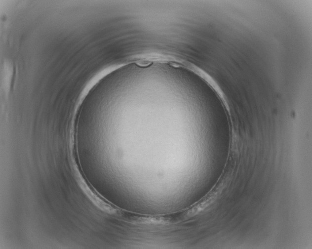 X0000084021195200703022049