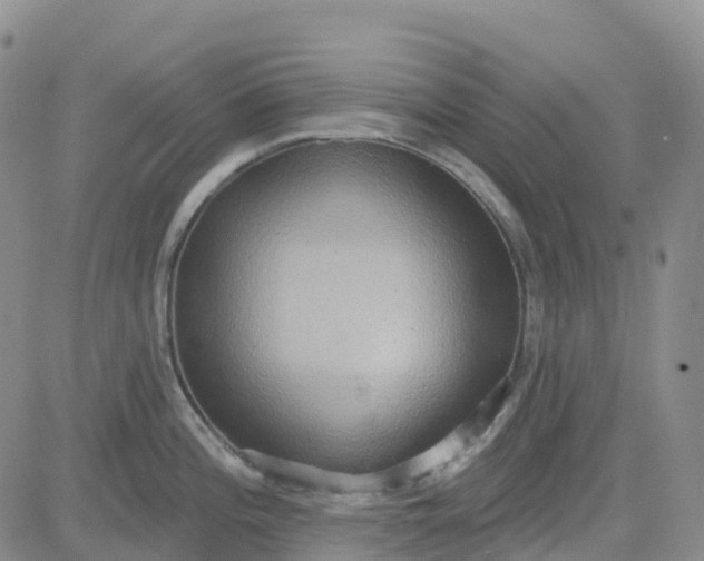 X0000084021196200703022049