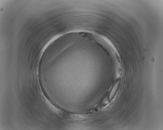 X0000084021197200703022049