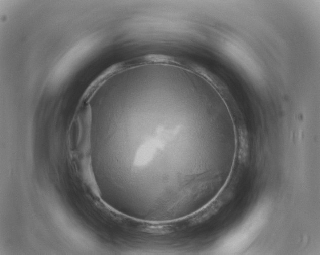 X0000084021198200703022049