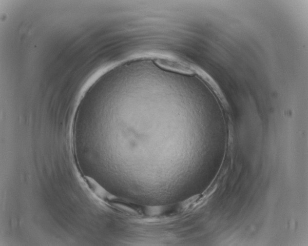 X0000084021199200703022049