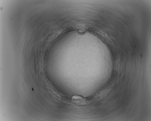 X0000084021201200703022048