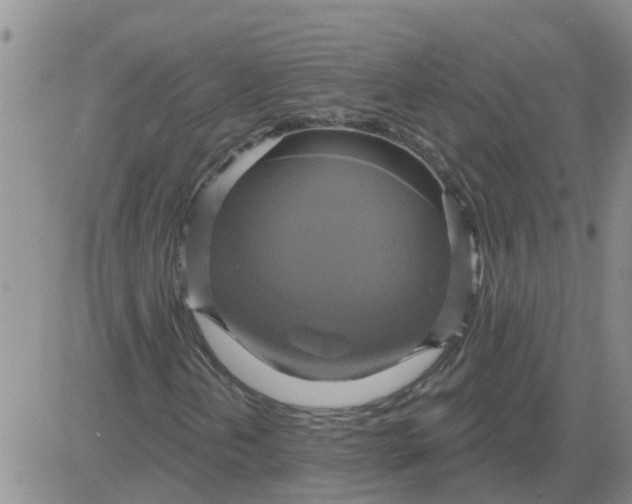 X0000084021202200703022048