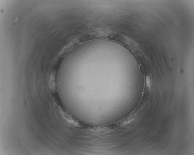 X0000084021203200703022048