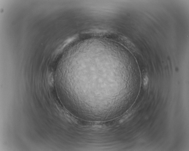 X0000084021204200703022048