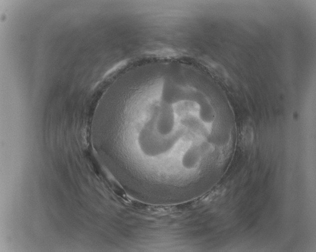 X0000084021205200703022048