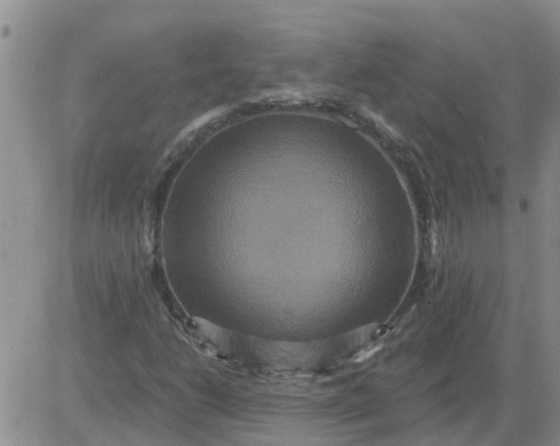 X0000084021206200703022048