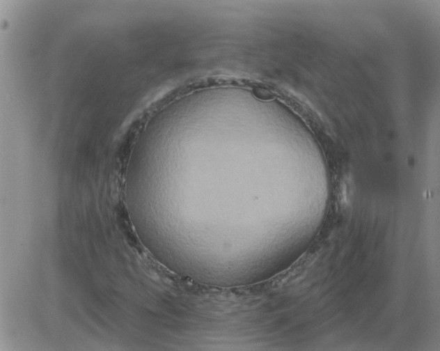 X0000084021207200703022048