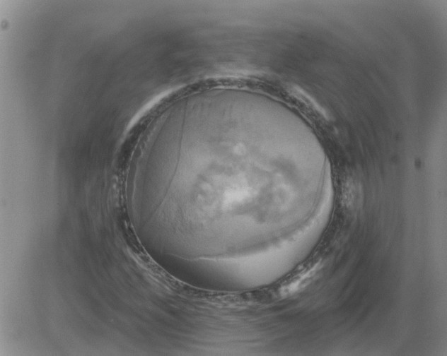 X0000084021208200703022048