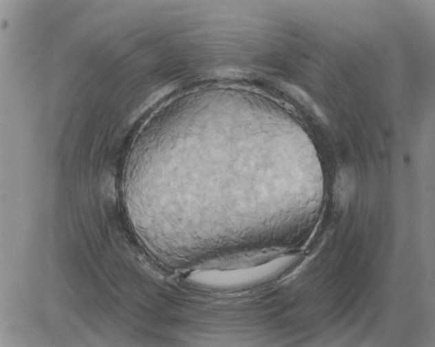 X0000084021209200703022048