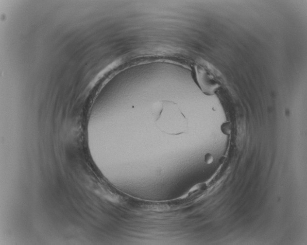 X0000084021210200703022048