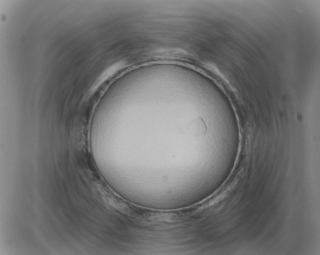 X0000084021211200703022048