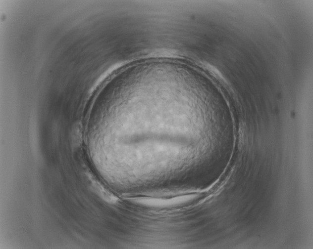 X0000084021212200703022048