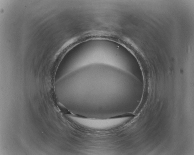 X0000084021213200703022048