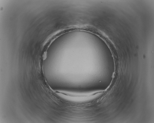 X0000084021214200703022048