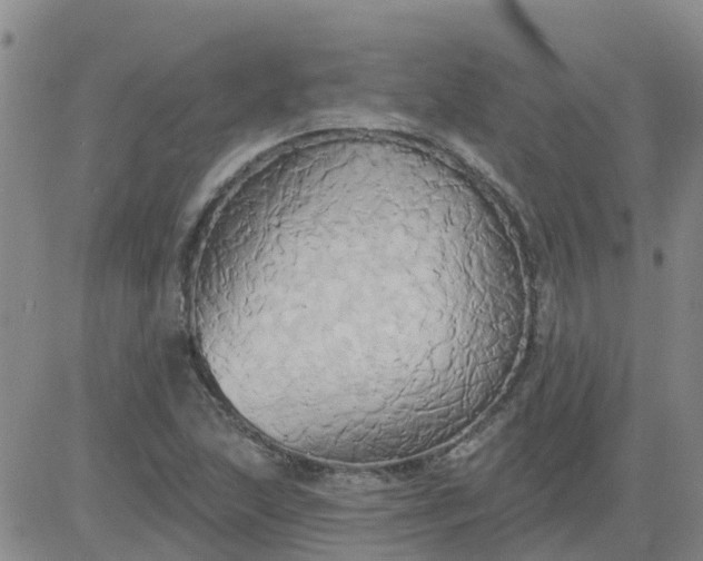 X0000084021215200703022048