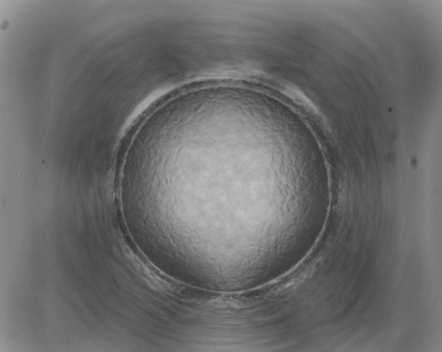 X0000084021216200703022048