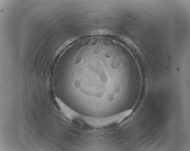 X0000084021217200703022048