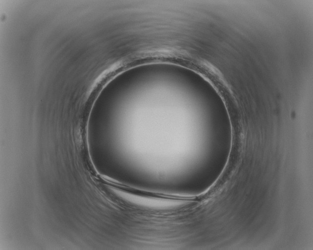 X0000084021218200703022048