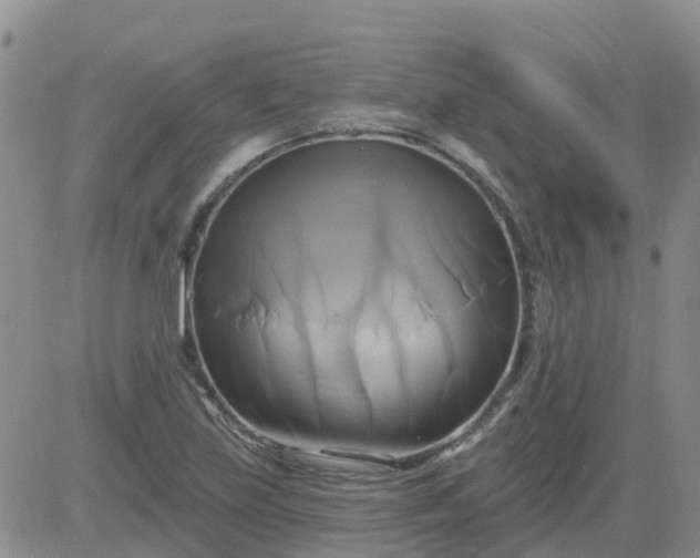 X0000084021219200703022048