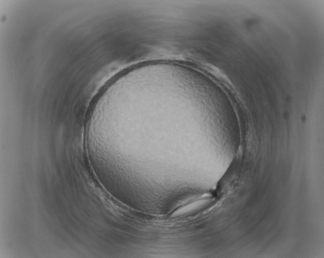 X0000084021220200703022048