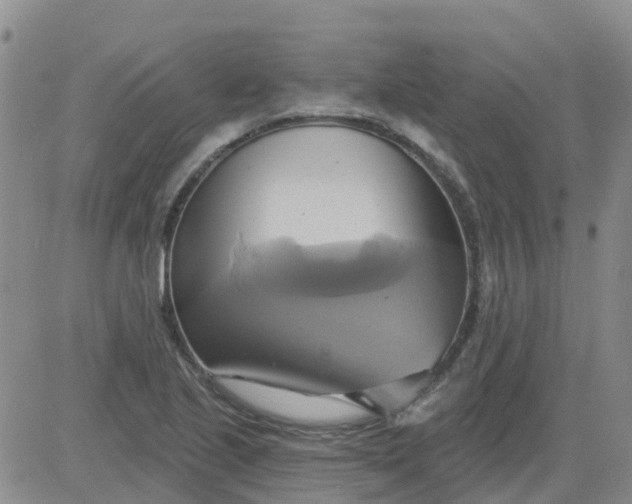 X0000084021221200703022048