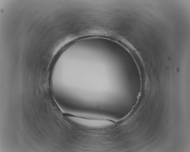 X0000084021222200703022048