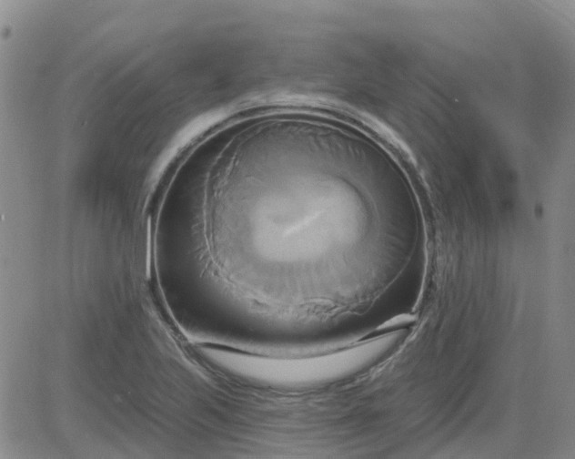 X0000084021223200703022048