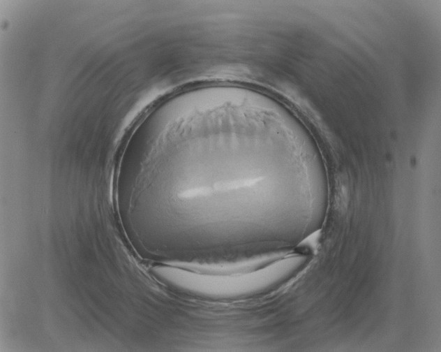 X0000084021224200703022048