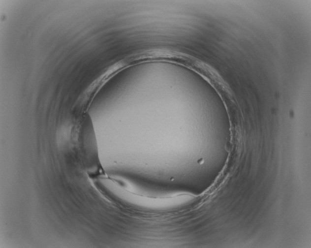 X0000084021225200703022048