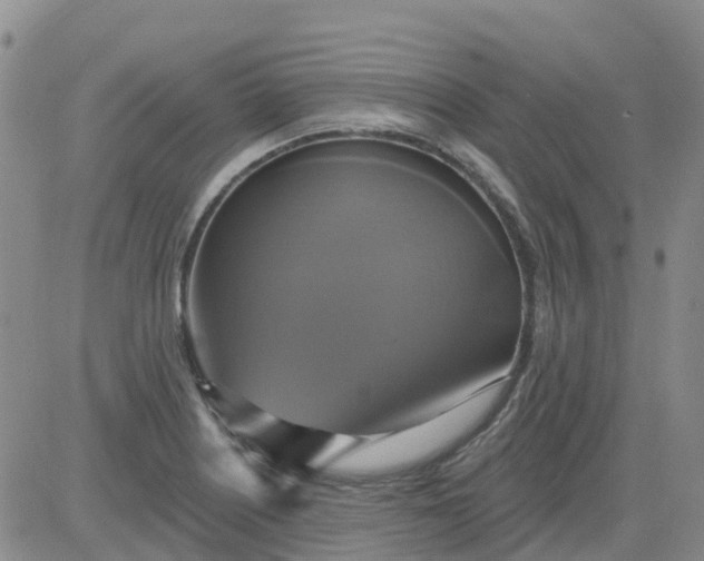 X0000084021226200703022048