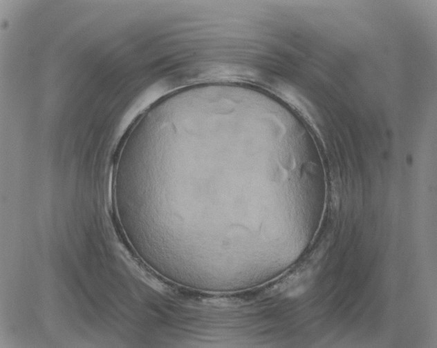 X0000084021227200703022048