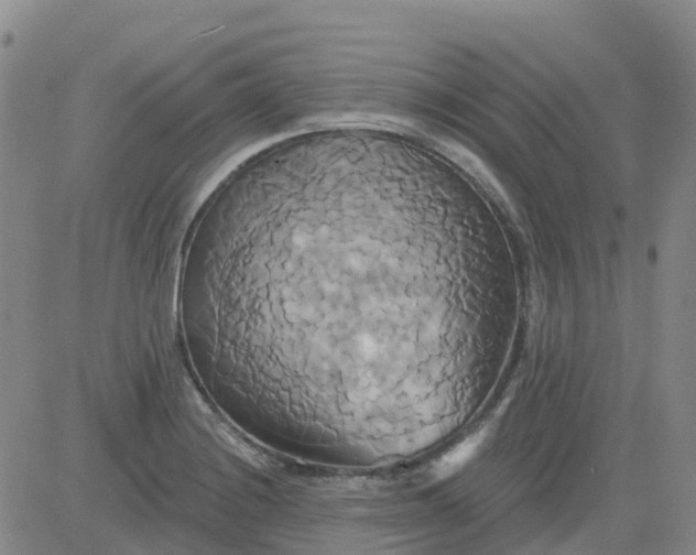 X0000084021228200703022048