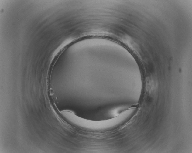 X0000084021229200703022048