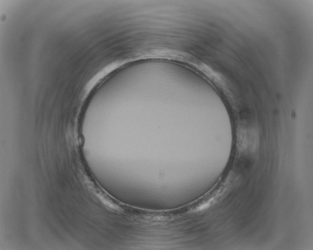 X0000084021230200703022048