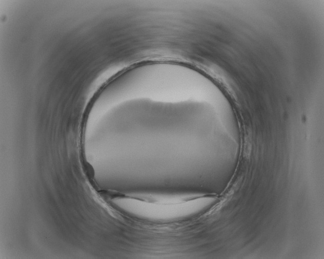 X0000084021231200703022048