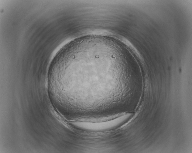 X0000084021232200703022048